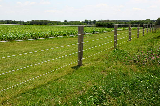 Wire Fencing Maintenance in Different Seasons: Tips for Year-Round Care